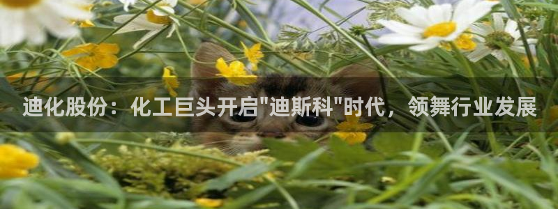 球盟会官网入口