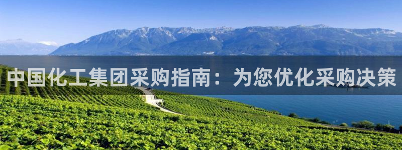 球盟会网页版