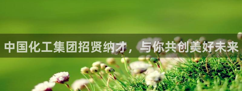 球盟会app最新地址下载安装