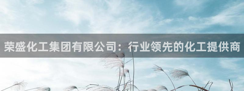 球盟会登陆入口：荣盛化工集团有限公司：行业领先的化工提供商