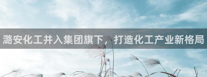 球盟会登陆
