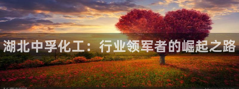 球盟会可以提现么