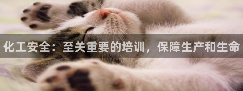 球盟会优惠券