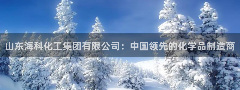 球盟会用的客服聊天是哪个软件：山东海科化工集团有限公司：中国