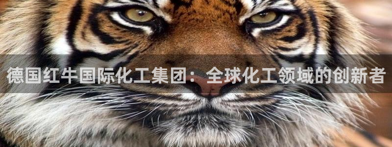 球盟会网页版：德国红牛国际化工集团：全球化工领域的创新者