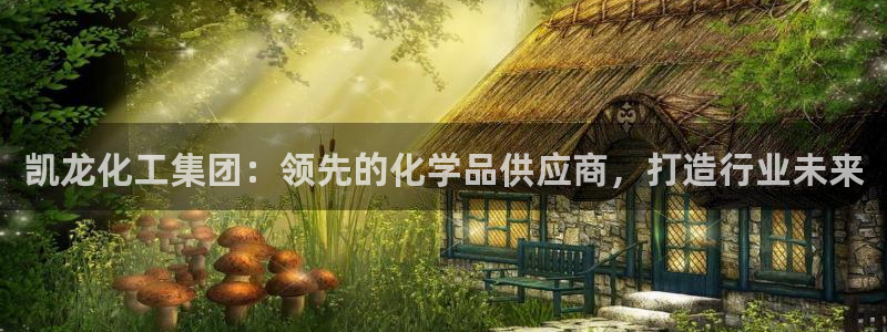 球盟会官方网站入口：凯龙化工集团：领先的化学品供应商，打造行