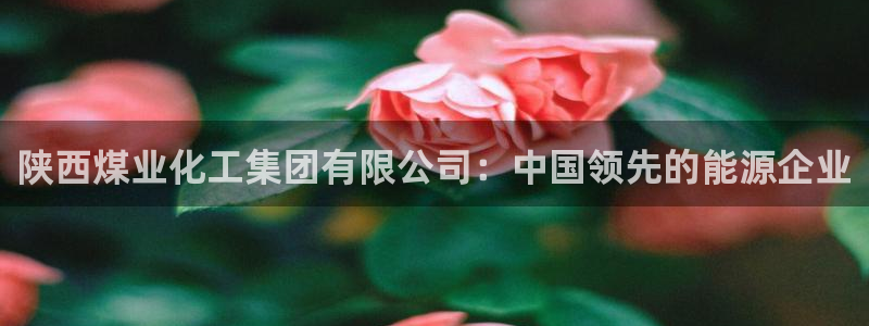 球盟会App：陕西煤业化工集团有限公司：中国领先的能源企业
