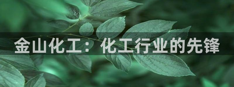球盟会官方登录平台入口：金山化工：化工行业的先锋