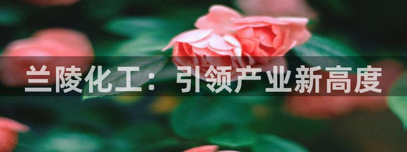 球盟会网页登录app下载地址：兰陵化工：引领产业新高度