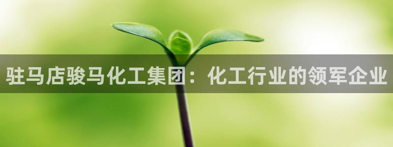 球盟会app网址多少：驻马店骏马化工集团：化工行业的领军企业