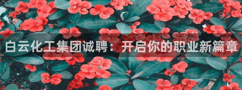 球盟会邮箱