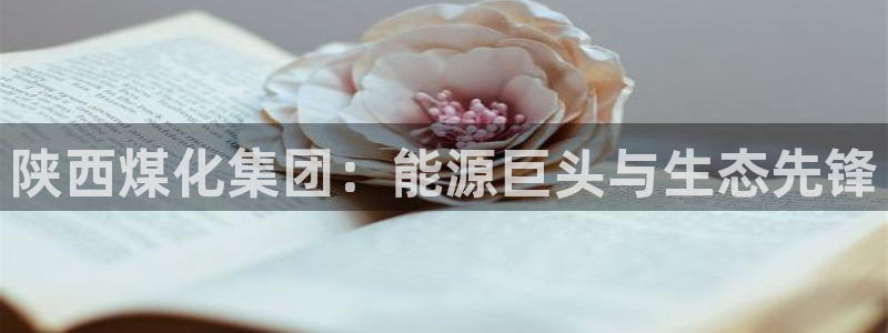 球盟会体育平台