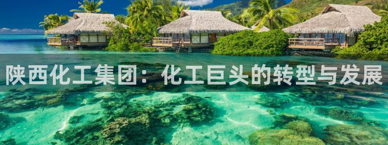 球盟会黑嘛