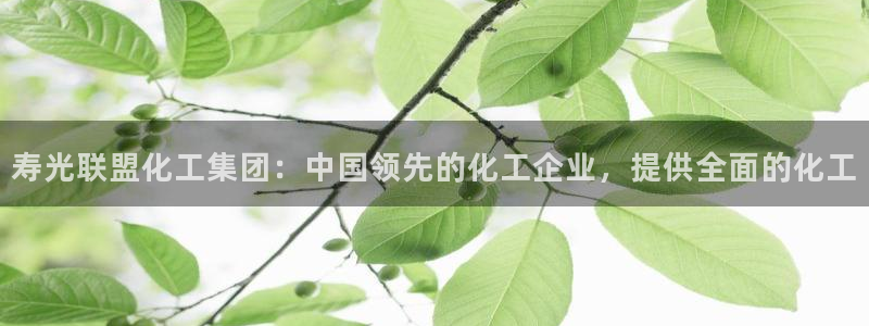 球盟会能退钱吗知乎：寿光联盟化工集团：中国领先的化工企业，提