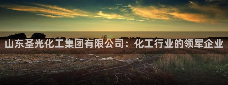 球盟会最新活动：山东圣光化工集团有限公司：化工行业的领军企业