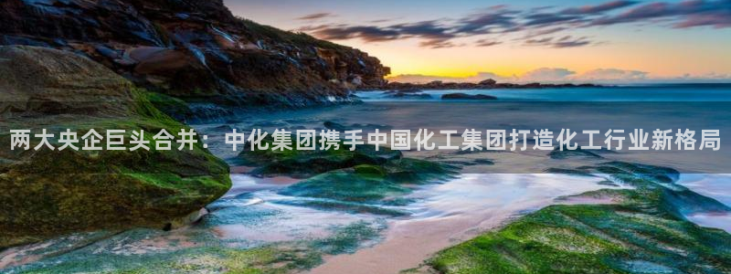 球盟会进不去