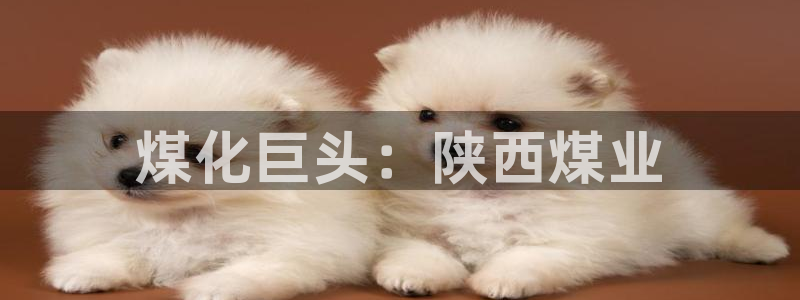 球盟会电子好黑：煤化巨头：陕西煤业