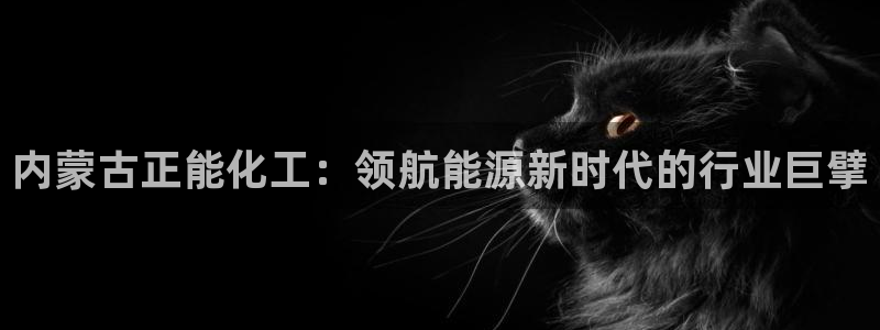 球盟会官方网入口