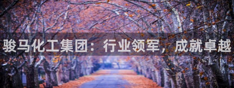 球盟会下款快吗