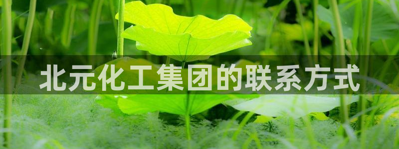 球盟会平台怎么样