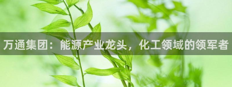 球盟会官网app下载