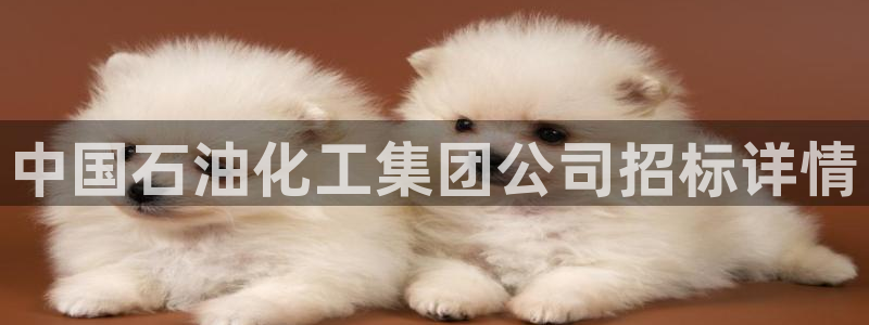 球盟会app