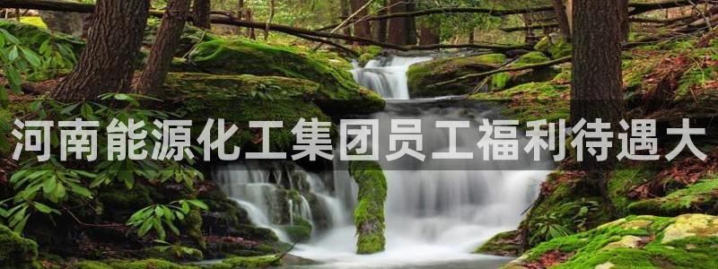球盟会贴吧