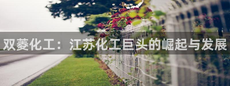 球盟会官方版下载地址