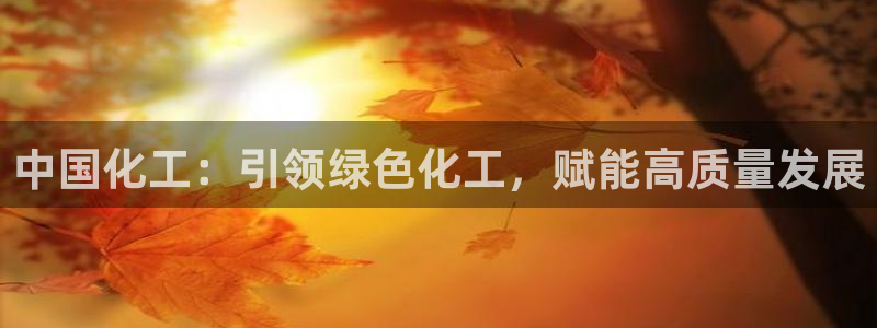 球盟会官方网站入口：中国化工：引领绿色化工，赋能高质量发展