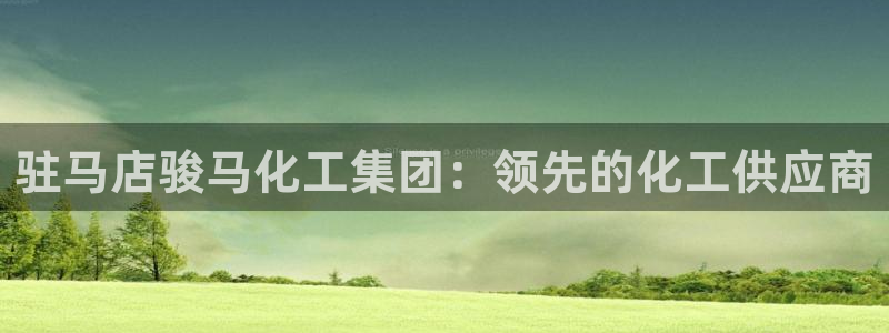 球盟会最新活动：驻马店骏马化工集团：领先的化工供应商