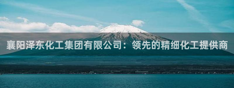 球盟会体验金球奖吗：襄阳泽东化工集团有限公司：领先的精细化工