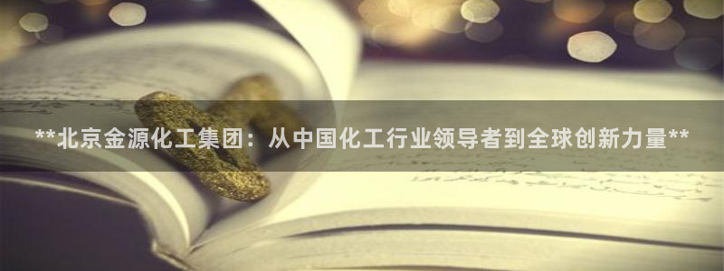 球盟会黑钱：**北京金源化工集团：从中国化工行业领导者到全球