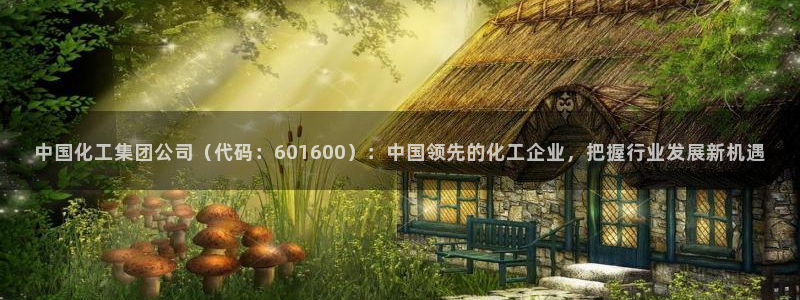 球盟会电子游戏平台：中国化工集团公司（代码：601600）：