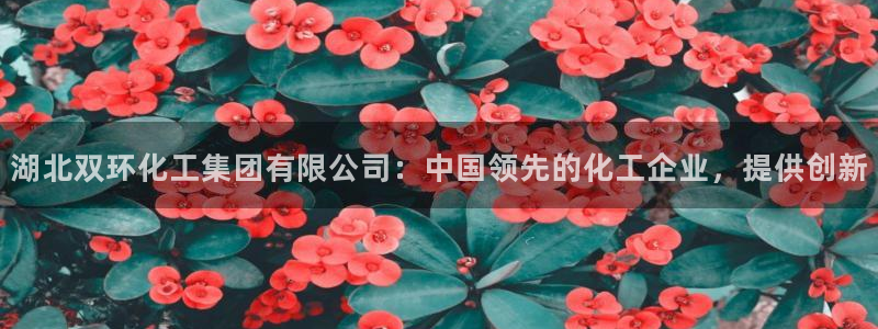 球盟会网址qm9 - 球盟会qmh网页版登录：湖北双环化工集