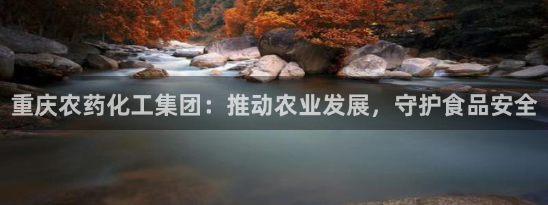 球盟会游戏