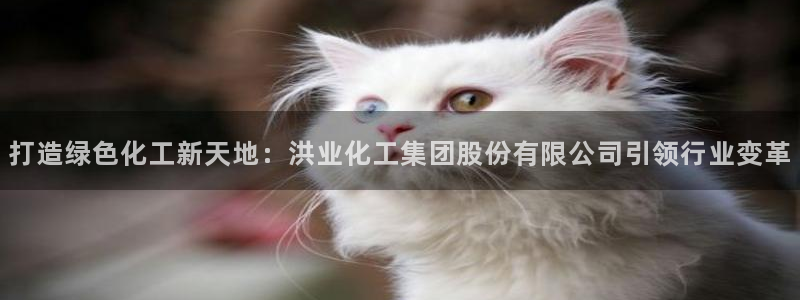 球盟会在线登录官网：打造绿色化工新天地：洪业化工集团股份有限