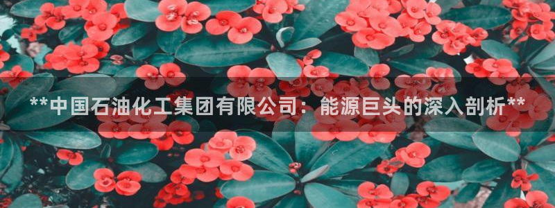 球盟会网址：**中国石油化工集团有限公司：能源巨头的深入剖析