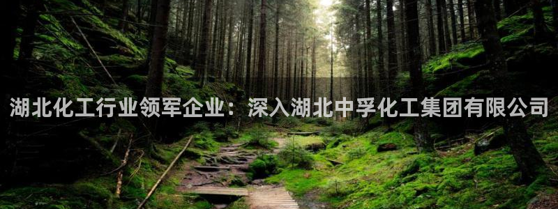 球盟会有限公司怎么样