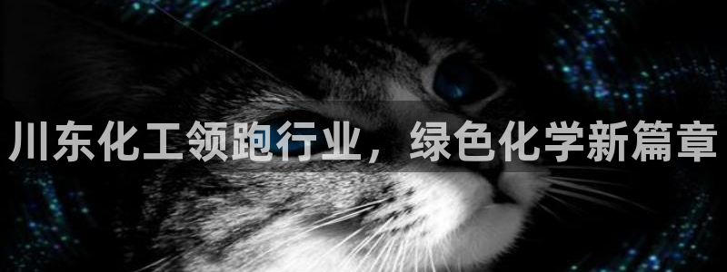 球盟会黑台子