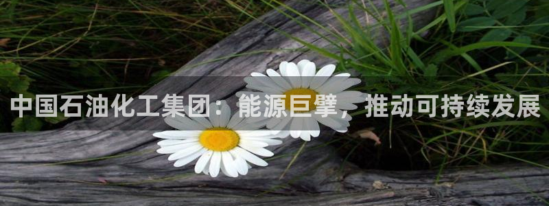 球盟会官网网页版
