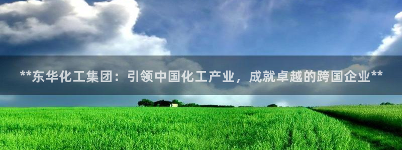 球盟会和中欧会的区别：**东华化工集团：引领中国化工产业，成