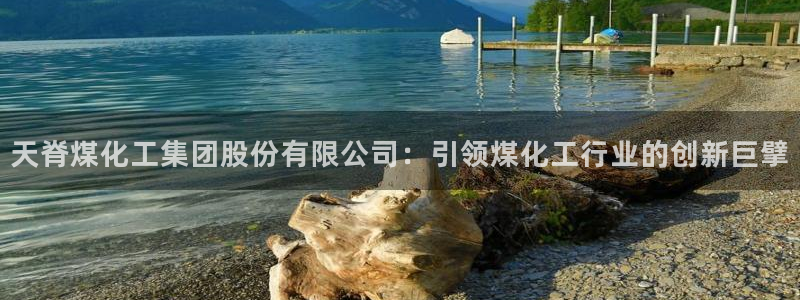 球盟会可靠不：天脊煤化工集团股份有限公司：引领煤化工行业的创