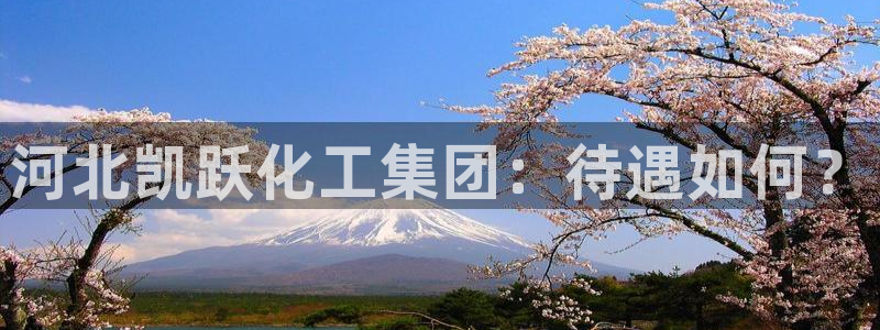 球盟会黑平台