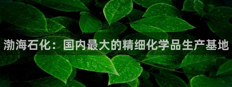 球盟会和中欧：渤海石化：国内最大的精细化学品生产基地