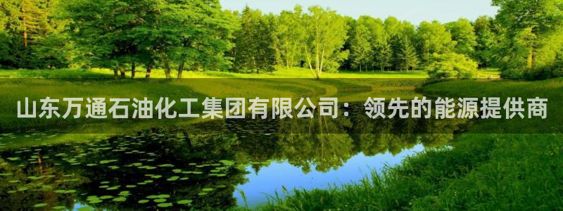 球盟会出款黑了：山东万通石油化工集团有限公司：领先的能源提供
