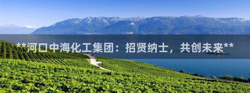 球盟会进不去吗