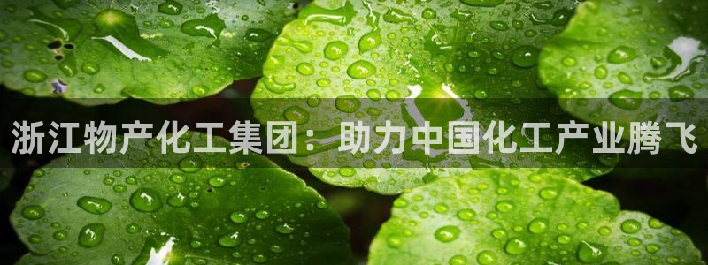 球盟会体育平台