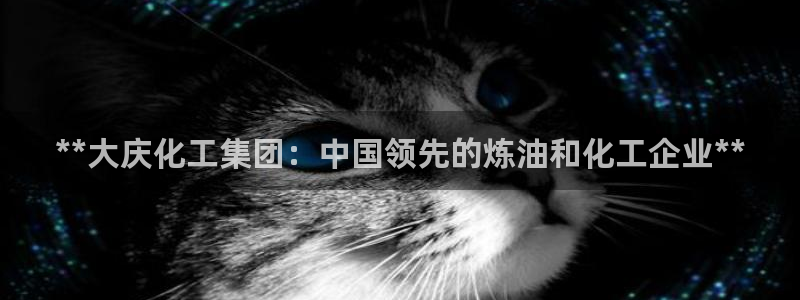 球盟会和中欧合作吗：**大庆化工集团：中国领先的炼油和化工企