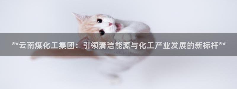球盟会有没有黑单的球员：**云南煤化工集团：引领清洁能源与化