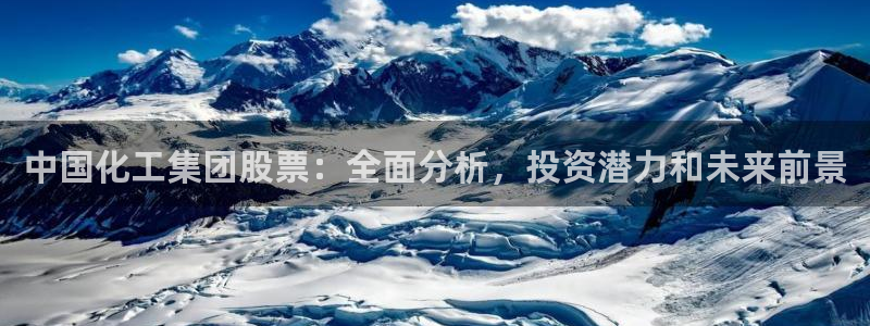 球盟会和中欧：中国化工集团股票：全面分析，投资潜力和未来前景
